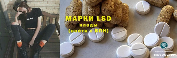 стаф Верея
