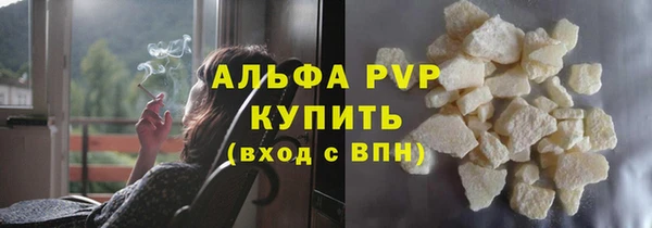 стаф Верея