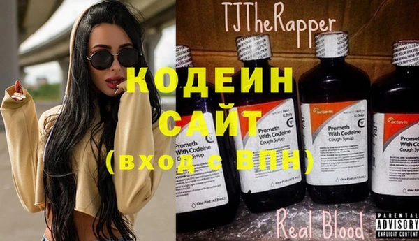 стаф Верея