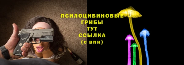 стаф Верея