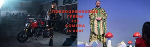 стаф Верея