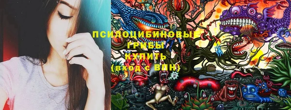 стаф Верея