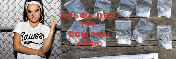 стаф Верея