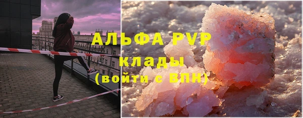 стаф Верея