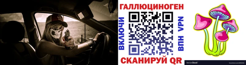 где купить наркоту  Чебоксары  Псилоцибиновые грибы Cubensis 